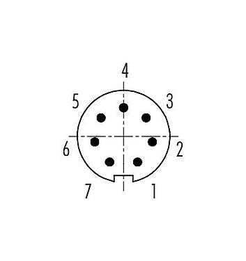 Disposición de los contactos (lado de la conexión) 99 9475 102 07 - Bayoneta Conector de cable macho, Número de contactos: 7, 4,0-5,0 mm, sin blindaje, soldadura, IP40