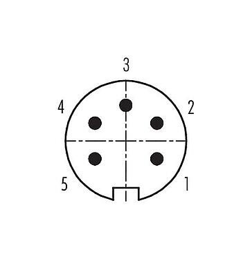 Disposición de los contactos (lado de la conexión) 99 5113 75 05 - M16 Conector macho en ángulo, Número de contactos: 5 (05-a), 4,0-6,0 mm, blindable, soldadura, IP67, UL