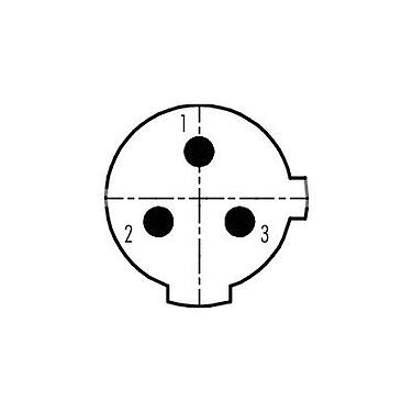Disposition des contacts (Côté plug-in) 99 2429 14 03 - 1/2 UNF Connecteur mâle, Contacts: 2+PE, 4,0-6,0 mm, non blindé, pince à visser, IP67, UL