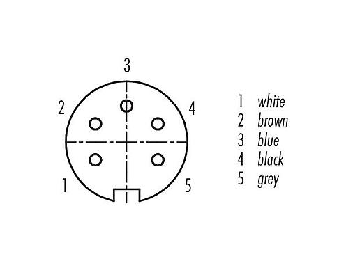 コンタクト配列（接続側） 79 6214 200 05 - M16 メス アングルコネクタ, 極数: 5 (05-a), 非シールド, モールドケーブル付き, IP67, PUR, 黒, 5x0.25mm², 2m