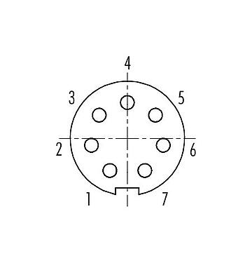 コンタクト配列（接続側） 09 4928 00 07 - プッシュ・プル メスパネルマウントコネクタ, 極数: 7, シールド可能, はんだ, IP67