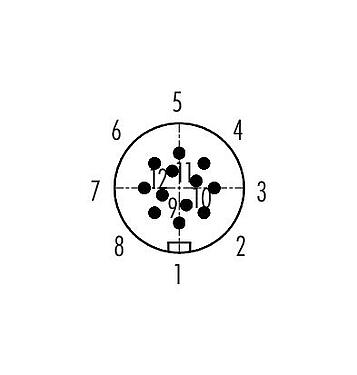 Polbild (Steckseite) 99 9133 452 12 - Snap-In Kabelstecker, Polzahl: 12, 6,0-8,0 mm, ungeschirmt, löten, IP67