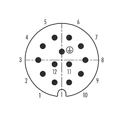 Disposición de los contactos (lado de la conexión) 99 0717 00 13 - RD30 Conector de cable macho, Número de contactos: 12+PE, 10,0-12,0 mm, sin blindaje, soldadura, IP65
