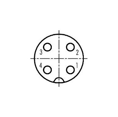 Disposición de los contactos (lado de la conexión) 09 0440 10 04 - M18 Conector de cable hembra, Número de contactos: 4, 6,5-8,0 mm, sin blindaje, tornillo extraíble, IP67