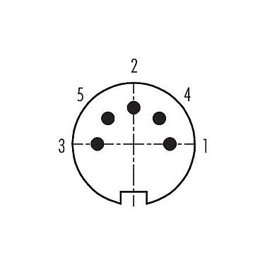 コンタクト配列（接続側） 99 5117 19 05 - M16 オスコネクタケーブル, 極数: 5 (05-b), 4.0-6.0mm, シールド可能, はんだ, IP67, UL