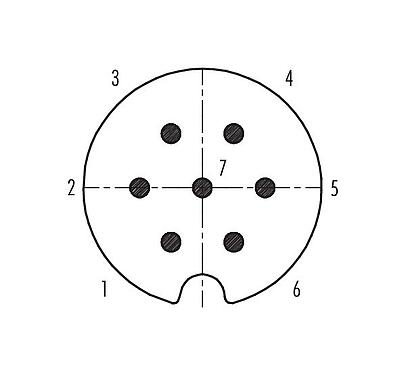 Contactconfiguratie (aansluitzijde) 09 0041 00 07 - M25 Kabelstekker, aantal polen: 7, 5,0-8,0 mm, schermbaar, soldeer, IP40