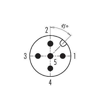 Polbild (Steckseite) 99 0437 142 05 - M12 Duo-Kabelstecker, Polzahl: 5, 2 Kabel mit Ø 2,1-3,0 mm oder Ø 4,0-5,0 mm, ungeschirmt, schraubklemm, IP67, UL