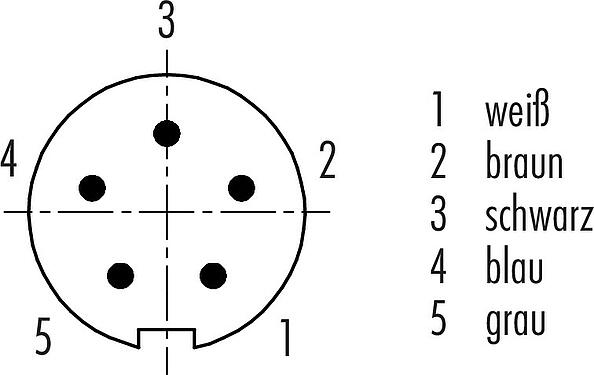 Polbild (Steckseite) M9 Kabelstecker, Polzahl: 5, ungeschirmt, am Kabel angespritzt, IP67, PUR, schwarz, 5 x 0,25 mm², 5 m