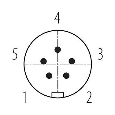 Disposition des contacts (Côté plug-in) Snap-In Connecteur mâle, Contacts: 5, 2,5-4,0 mm, non blindé, souder, IP67, UL 2238, VDE