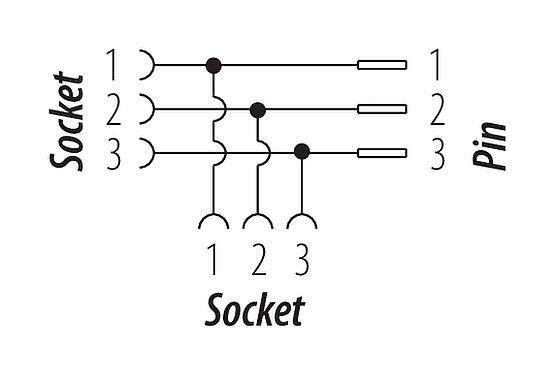 Schémas d’affectation des broches 7/8" Répartiteur double, Contacts: 3, non blindé, IP68