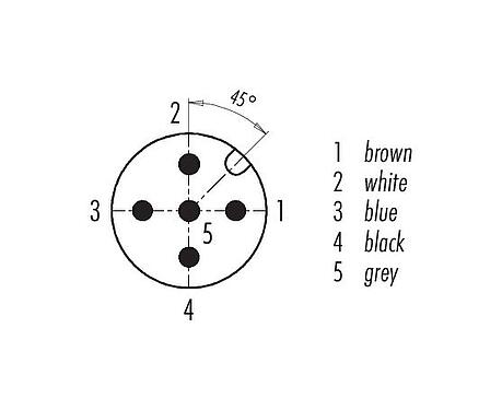 Contact arrangement (Plug-in side) 77 3429 0000 50005-0500 - M12 Male cable connector, Contacts: 5, unshielded, moulded on the cable, IP69K, UL, PUR, black, 5 x 0.34 mm², 5 m