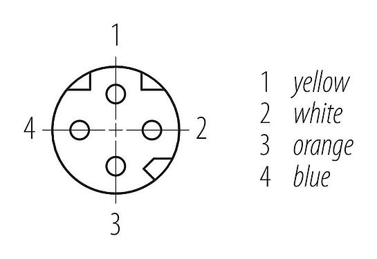 Disposizione dei contatti (lato connessione) M8 Connettore femmina a flangia, Numero poli: 4, non schermato, fili singoli, IP67, M8x1,0, Montaggio su panello posteriore