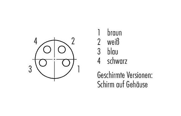 Polbild (Steckseite) 77 3508 0000 50004-0200 - M8 Winkeldose, Polzahl: 4, geschirmt, am Kabel angespritzt, IP67, PUR, schwarz, 4 x 0,34 mm², 2 m