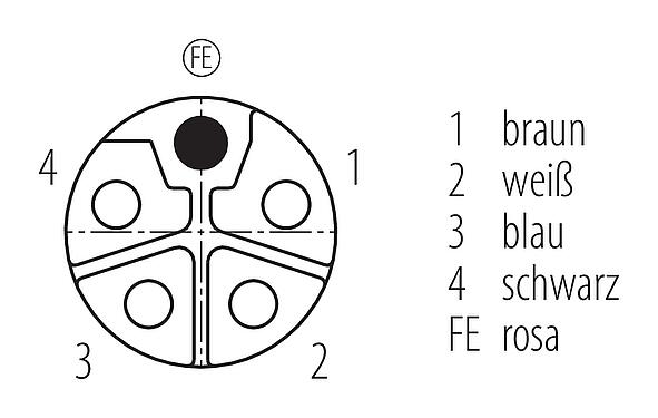 Polbild (Steckseite) M12 Kabeldose, Polzahl: 4+FE, ungeschirmt, am Kabel angespritzt, IP68, UL 2238, M12x1,0, PUR, schwarz, 5 x 2,50 mm², 2 m