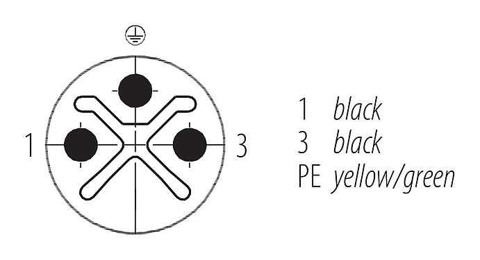 Contactconfiguratie (Insteekbereik) M12 Verbindingskabel kabelstekker - kabeldoos, aantal polen: 2+PE, onafgeschermd, aan de kabel aangegoten, IP68, UL 2238, PUR, zwart, 3 x 1,50 mm², 2 m