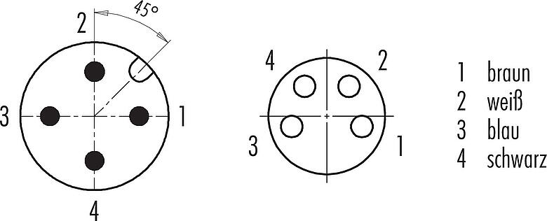 Polbild (Steckseite) M12/M8 Kabelstecker - Kabeldose, Polzahl: 4, ungeschirmt, am Kabel angespritzt, IP67/IP69K, UL 2238, PUR, schwarz, 4 x 0,34 mm², 1 m