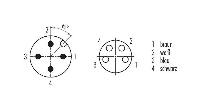 Polbild (Steckseite) M12/M8 Kabelstecker - Winkeldose, Polzahl: 4, ungeschirmt, am Kabel angespritzt, IP67/IP69K, UL 2238, PUR, schwarz, 4 x 0,34 mm², 2 m