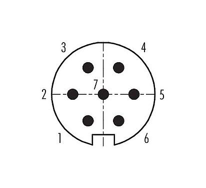 Koskettimien järjestys (plug in -puoli) Push Pull Laippapistoke, Napojen määrä: 7, suojaamaton, juotos, IP67, M21x1,0, Etukiinnitys