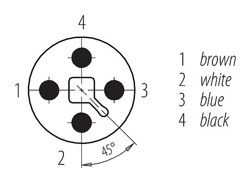 Sắp xếp liên hệ (phía kết nối) M12 Phích cắm cáp, Số lượng cực : 4, không có chống nhiễu, ép phun vào dây cáp, IP68, UL 2238, PUR, màu đen, 4x1,50mm², 2m