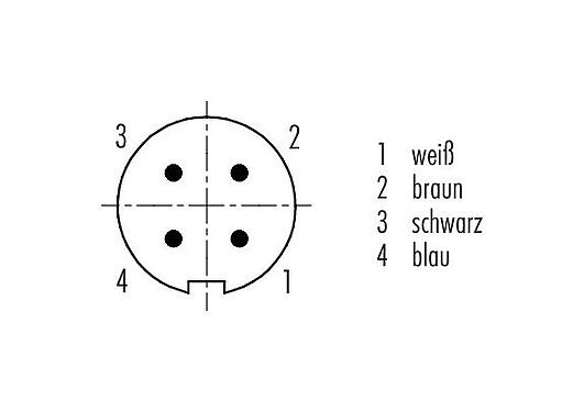 Polbild (Steckseite) 79 1409 72 04 - M9 Winkelstecker, Polzahl: 4, geschirmt, am Kabel angespritzt, IP67, PUR, schwarz, 5 x 0,25 mm², 2 m