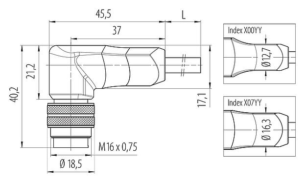 Bản vẽ tỷ lệ M16 Phích cắm bẻ góc, Số lượng cực : 7 (07-b), có chống nhiễu, ép phun vào dây cáp, IP67, PUR, màu đen, 7x0,25mm², 2m