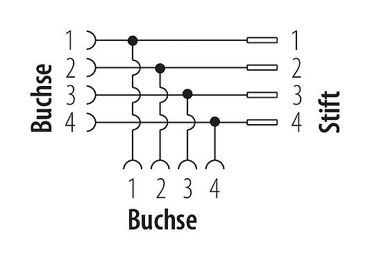 Belegungspläne 7/8" Zweifachverteiler, Polzahl: 4, ungeschirmt, IP68