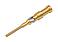 Accessoires--_M12_Crimp_Stecker