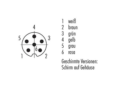 Polbild (Steckseite) M8 Kabelstecker, Polzahl: 6, geschirmt, am Kabel angespritzt, IP67, UL 2238, PVC, grau, 6 x 0,25 mm², 5 m