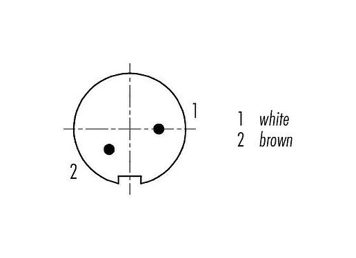 Contact arrangement (Plug-in side) M9 Male cable connector, Contacts: 2, shielded, moulded on the cable, IP67, PUR, black, 5 x 0.25 mm², 5 m