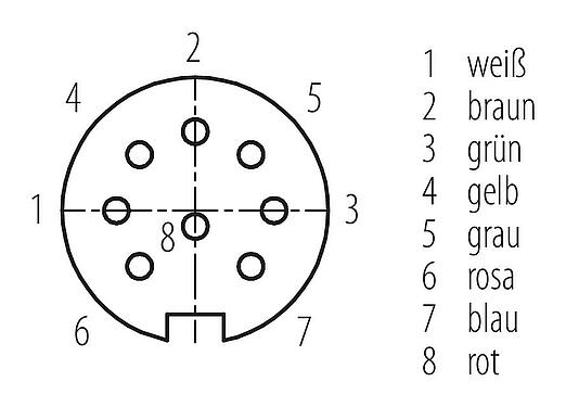 Polbild (Steckseite) M16 Kabeldose, Polzahl: 8, ungeschirmt, am Kabel angespritzt, IP67, PUR, schwarz, 8 x 0,25 mm², 2 m
