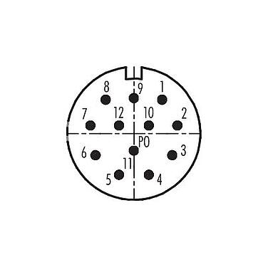 Contact arrangement (Plug-in side) M23 Square male panel mount connector, Contacts: 12, unshielded, solder, IP67, M2 (4x), Rear mounting