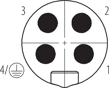 Disposizione dei contatti (lato connessione) 7/8" Connettore cavo maschio, Numero poli: 3+PE, 6,0-8,0 mm, non schermato, morsetto a vite, IP67, UL 2238, VDE