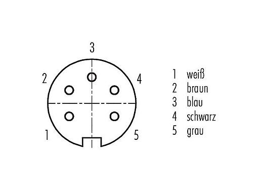 Polbild (Steckseite) 79 6114 20 05 - M16 Kabeldose, Polzahl: 5 (05-a), geschirmt, am Kabel angespritzt, IP67, PUR, schwarz, 5 x 0,25 mm², 2 m