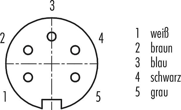 Polbild (Steckseite) M16 Kabeldose, Polzahl: 5 (05-a), ungeschirmt, am Kabel angespritzt, IP67, PUR, schwarz, 5 x 0,25 mm², 2 m