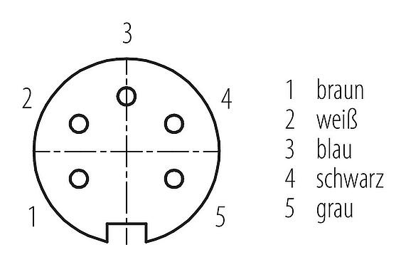 Polbild (Steckseite) M16 Kabeldose, Polzahl: 5, ungeschirmt, am Kabel angespritzt, IP67, PUR, schwarz, 5 x 0,34 mm², 5 m