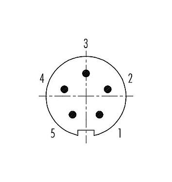 Disposizione dei contatti (lato connessione) 99 4913 00 05 - Spingere Tirare Connettore  cavo maschio, Numero poli: 5, 3,5-5,0 mm, schermabile, saldare, IP67