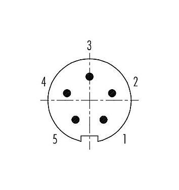 Disposition des contacts (Côté plug-in) 99 4913 00 05 - Push Pull Connecteur mâle, Contacts: 5, 3,5-5,0 mm, blindable, souder, IP67