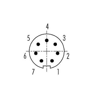 Disposizione dei contatti (lato connessione) 09 9477 00 07 - Baionetta Connettore maschio a flangia, Numero poli: 7, non schermato, saldare, IP40