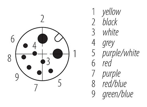 Contactconfiguratie (Insteekbereik) M12 Kabeldoos, aantal polen: 2+7, aan de kabel aangegoten, IP67, PUR, zwart, Power: 2 x 0,75 (AWG 18), Signaal: 7 x 0,14 (AWG 26), 1,85 m