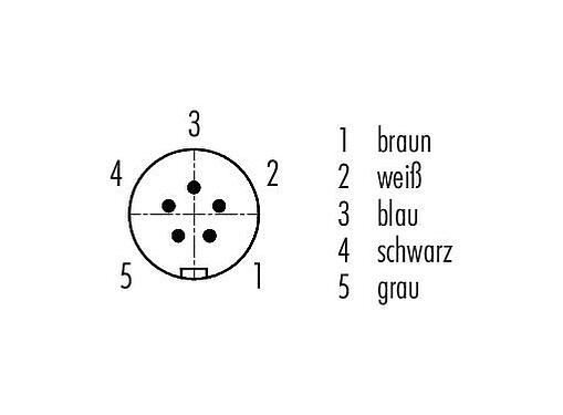 Polbild (Steckseite) Snap-In Kabelstecker, Polzahl: 5, ungeschirmt, am Kabel angespritzt, IP67, UL 2238, PUR, schwarz, 5 x 0,25 mm², 2 m