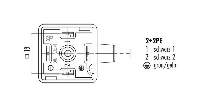 Polbild (Steckseite) Magnetventilsteckdose, Polzahl: 2+2PE, ungeschirmt, am Kabel angespritzt, IP67, PUR, schwarz, 3 m