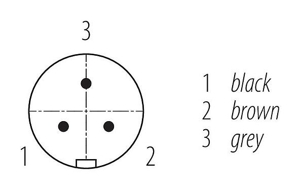 Układ styków (strona przyłączeniowa) Zatrzask Męskie złącze kablowe proste, Kontaktów: 3, nieekranowany, formowane wtryskowo na kablu, IP67, VDE, PUR, czarny, 3 x 0,75 mm², 2 m