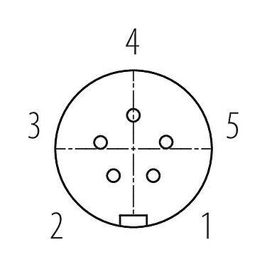Układ styków (strona przyłączeniowa) Zatrzask Rozdzielacz 6-drogowy, Kontaktów: 5, nieekranowany, wtykowa, IP67