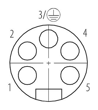 Układ styków (strona przyłączeniowa) 7/8" Zeńskie złącze kablowe proste, Kontaktów: 4+PE, 10,0-12,0 mm, nieekranowany, zacisk śrubowy, IP67, UL 2238, VDE