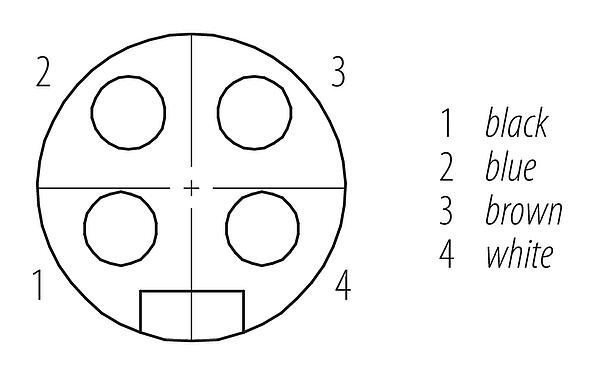 Contactconfiguratie (Insteekbereik) 7/8" Female panel mount connector, aantal polen: 4, onafgeschermd, draden, IP68, UL 2238, VDE, PG 13,5, Frontaansluiting, gegoten