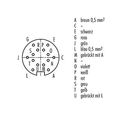 Polbild (Steckseite) 79 6252 200 14 - M16 Winkeldose, Polzahl: 14 (14-b), ungeschirmt, am Kabel angespritzt, IP67, PUR, schwarz, 8 x 0,25 mm² / 2 x 0,50 mm², 2 m
