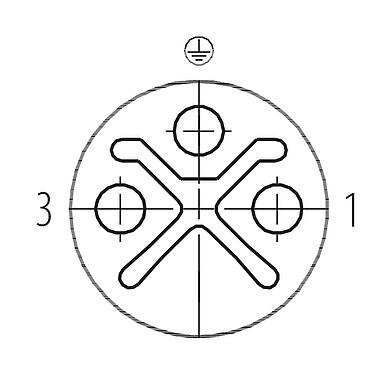 Disposizione dei contatti (lato connessione) M12 Passaparatia del quadro elettrico, Numero poli: 2+PE, schermato, innestabile, IP67, UL 2238, M12x1,0, Montaggio su panello posteriore