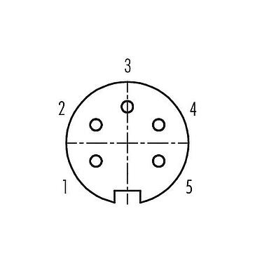 Koskettimien järjestys (plug in -puoli) 99 2014 02 05 - M16 Kaapelirasia, Napojen määrä: 5 (05-a), 6,0-8,0 mm, suojattavissa, juotos, IP40