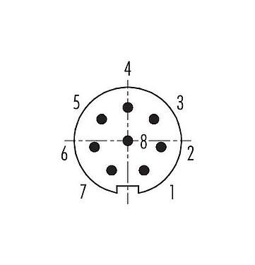 Koskettimien järjestys (plug in -puoli) 99 0425 75 08 - M9 Kulmapistoke, Napojen määrä: 8, 3,5-5,0 mm, suojattavissa, juotos, IP67
