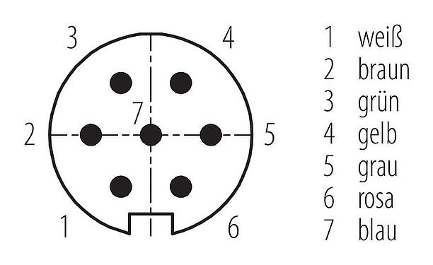 Polbild (Steckseite) M16 Kabelstecker, Polzahl: 7 (07-a), ungeschirmt, am Kabel angespritzt, IP67, PUR, schwarz, 8 x 0,25 mm², 2 m